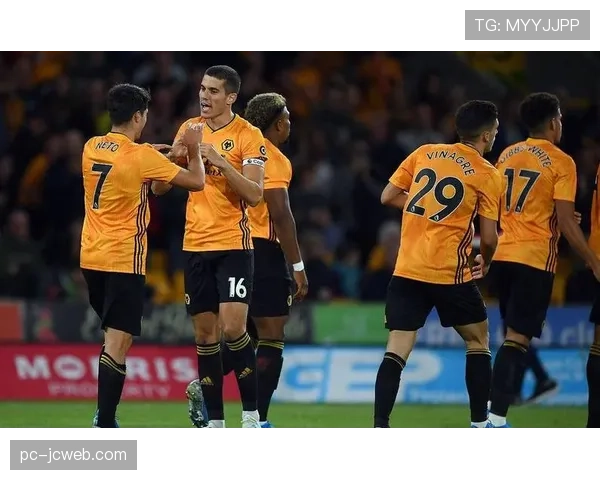 现场:狼队对阵埃弗顿,VAR长时间介入判罚引发主队球迷不满 现场:狼队对阵埃弗顿,VAR长时间介入判罚引发主队球迷不满